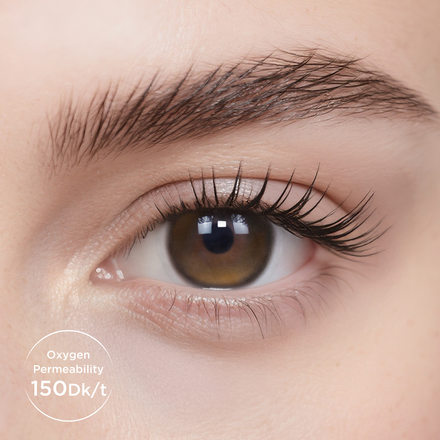 Breathe+Spotlight-moodylenses