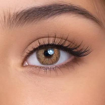 Sunflower Brown