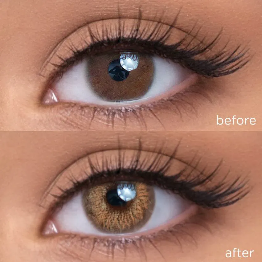Sunflower Brown