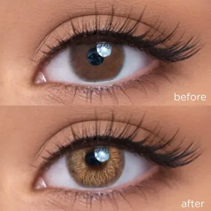 Sunflower Brown