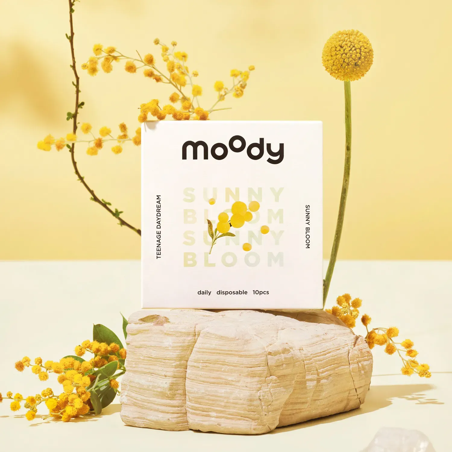 Sunny Bloom