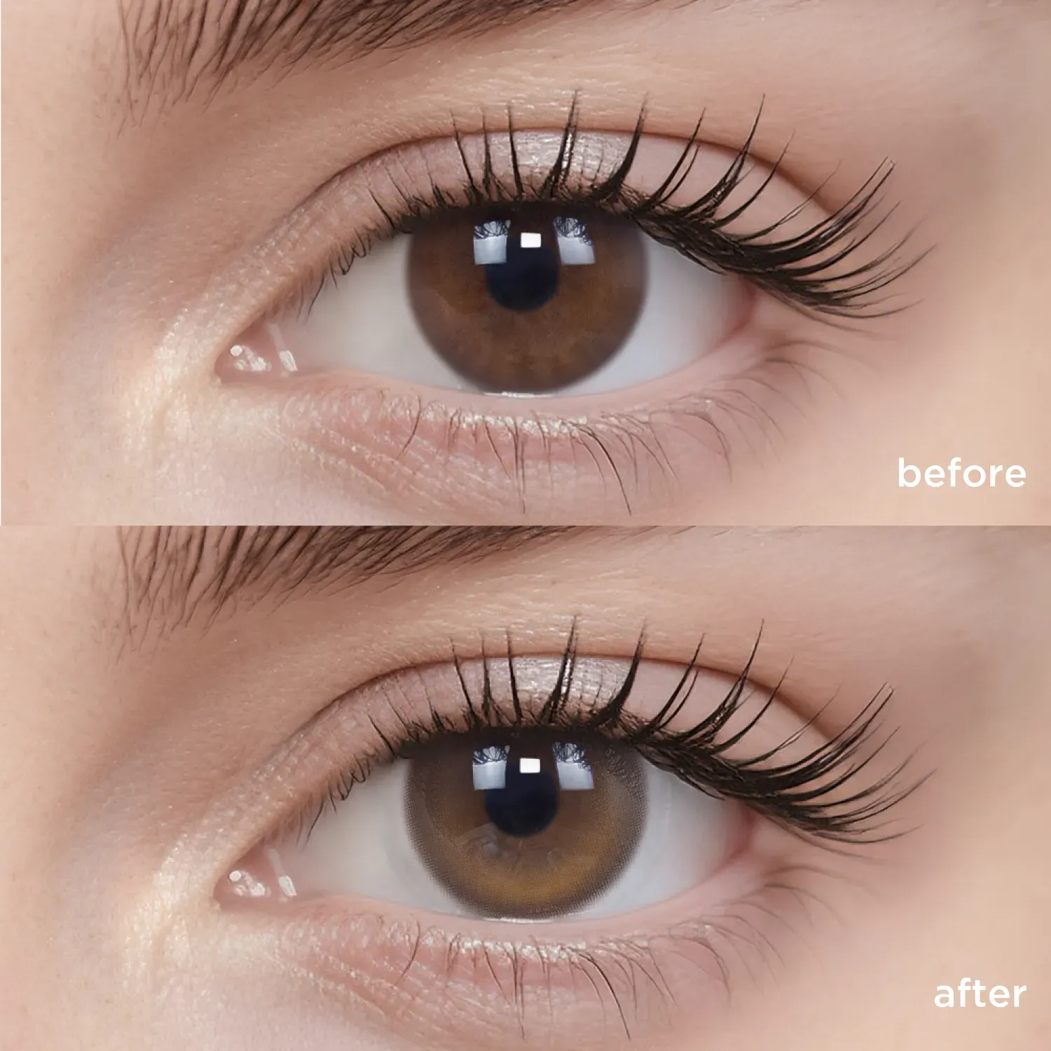 GlowyLock™ The Macassar