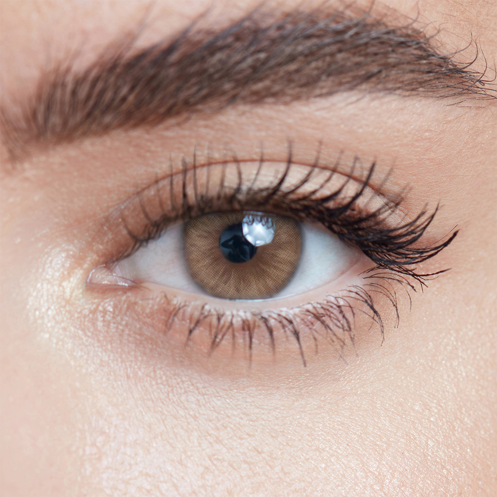 Toffee Brown(1 pc)-moodylenses