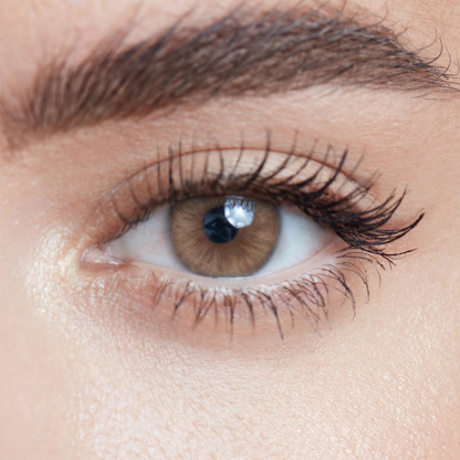 Toffee Brown(1 pc)-moodylenses