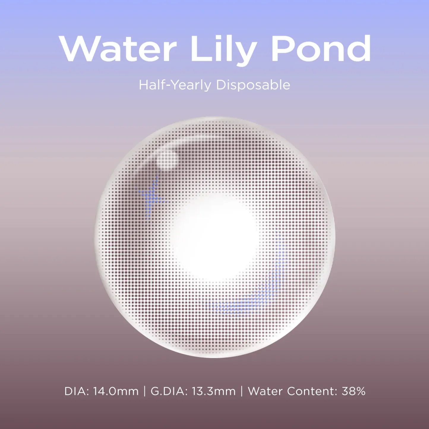 Water Lily Pond
