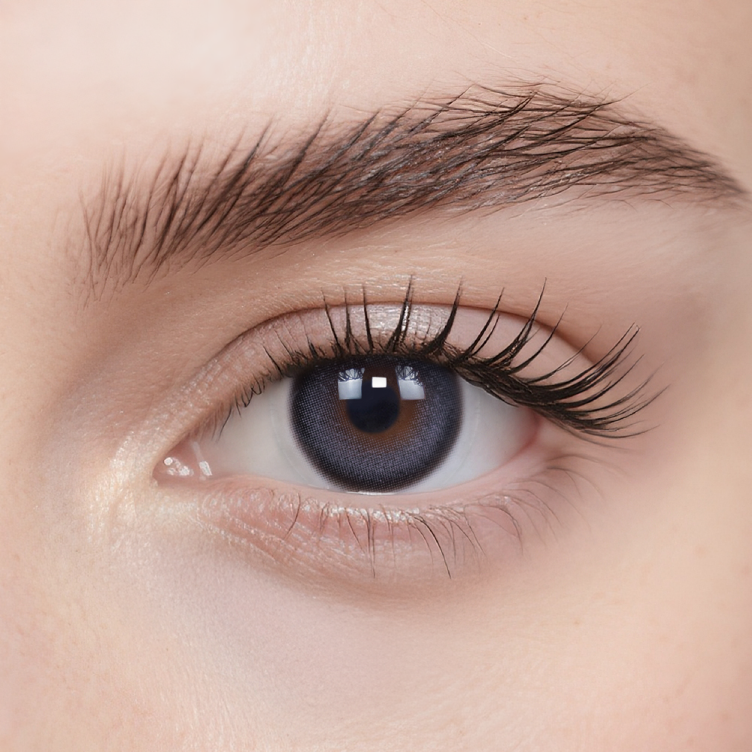 Black Sugar Bean-moodylenses