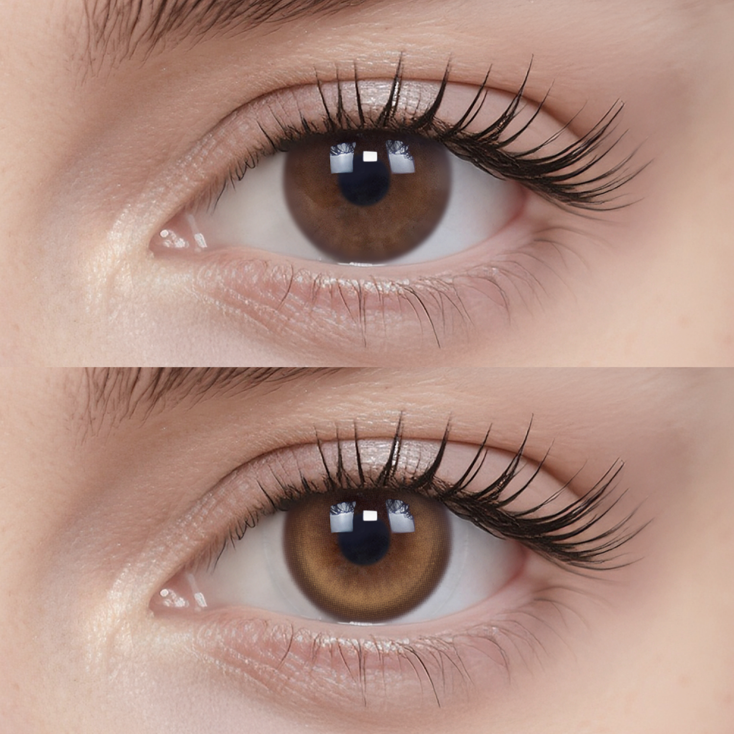 Double Coco|1 Day,20pcs