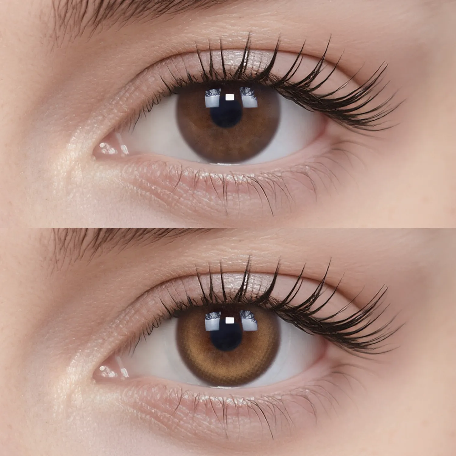 Double Coco|1 Day,20pcs