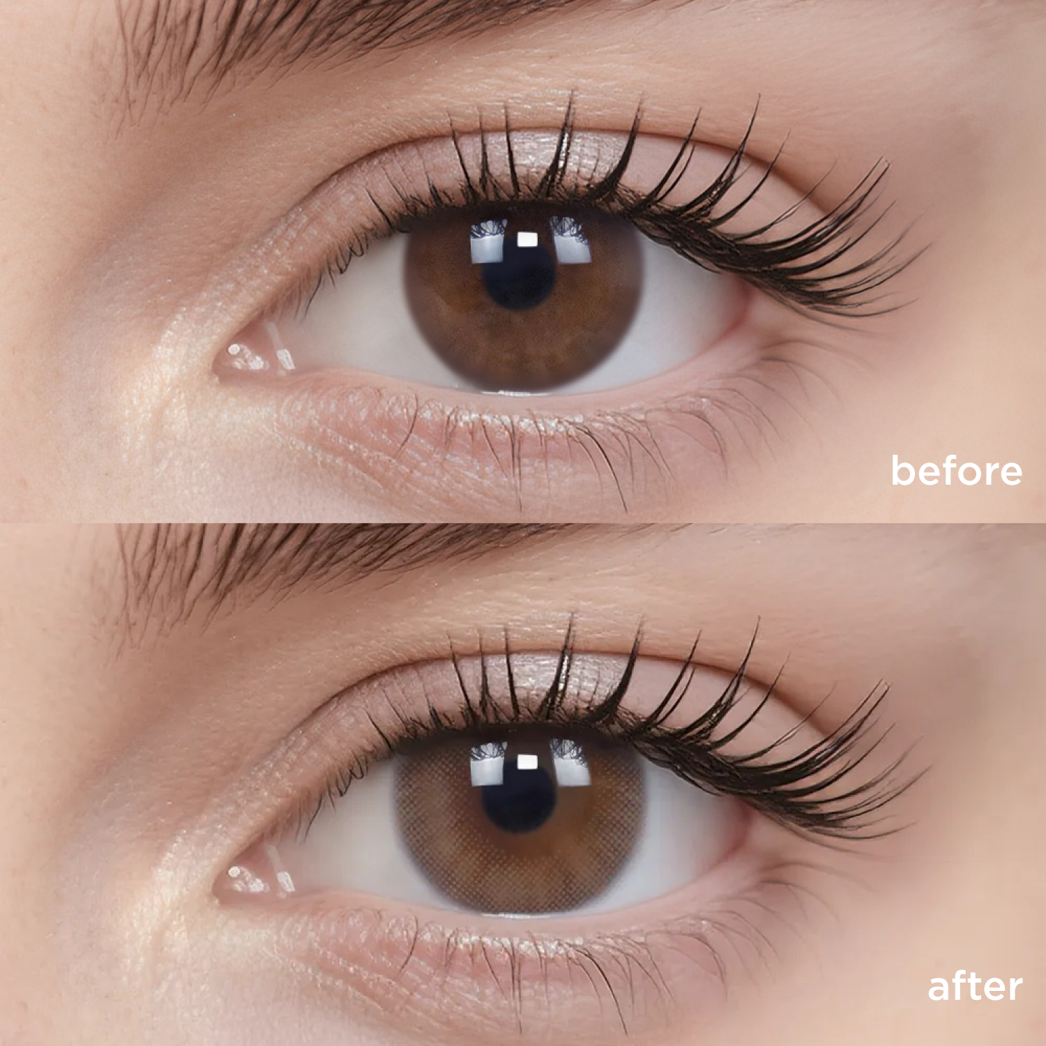 Pinewood Cabin (1 Month)