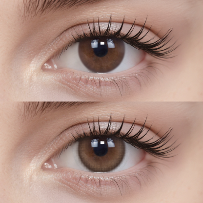 Coconut Sugar Brown(1 pc)