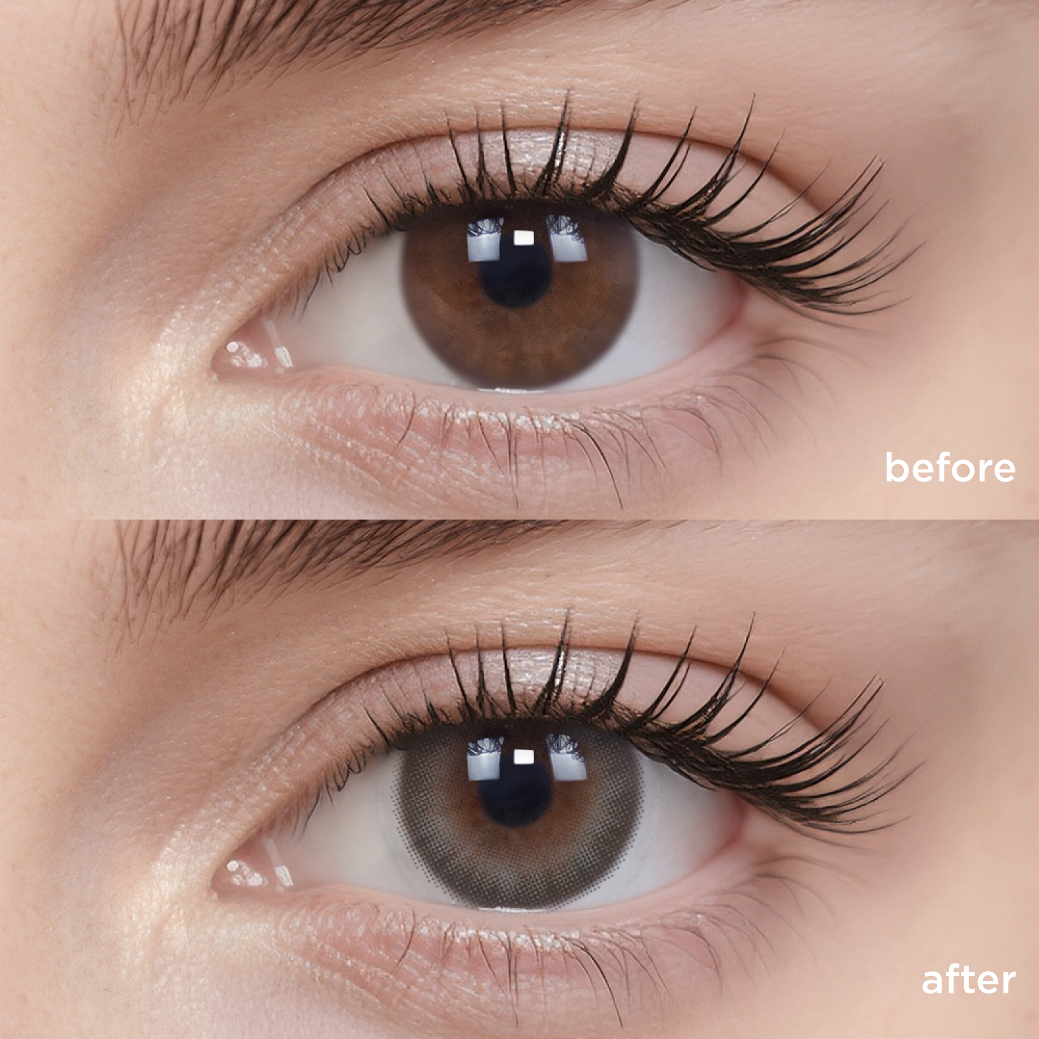 Indigo Flannel（1 Month）