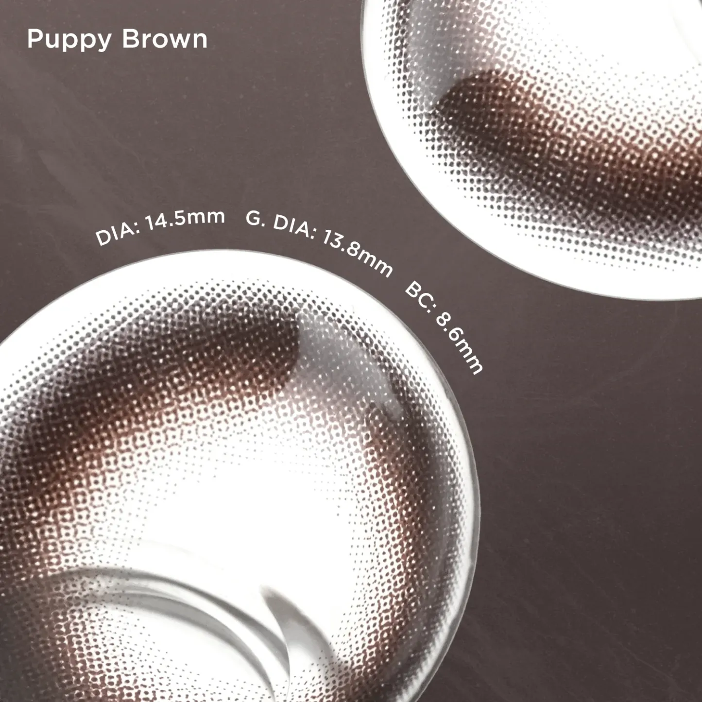 Puppy Brown