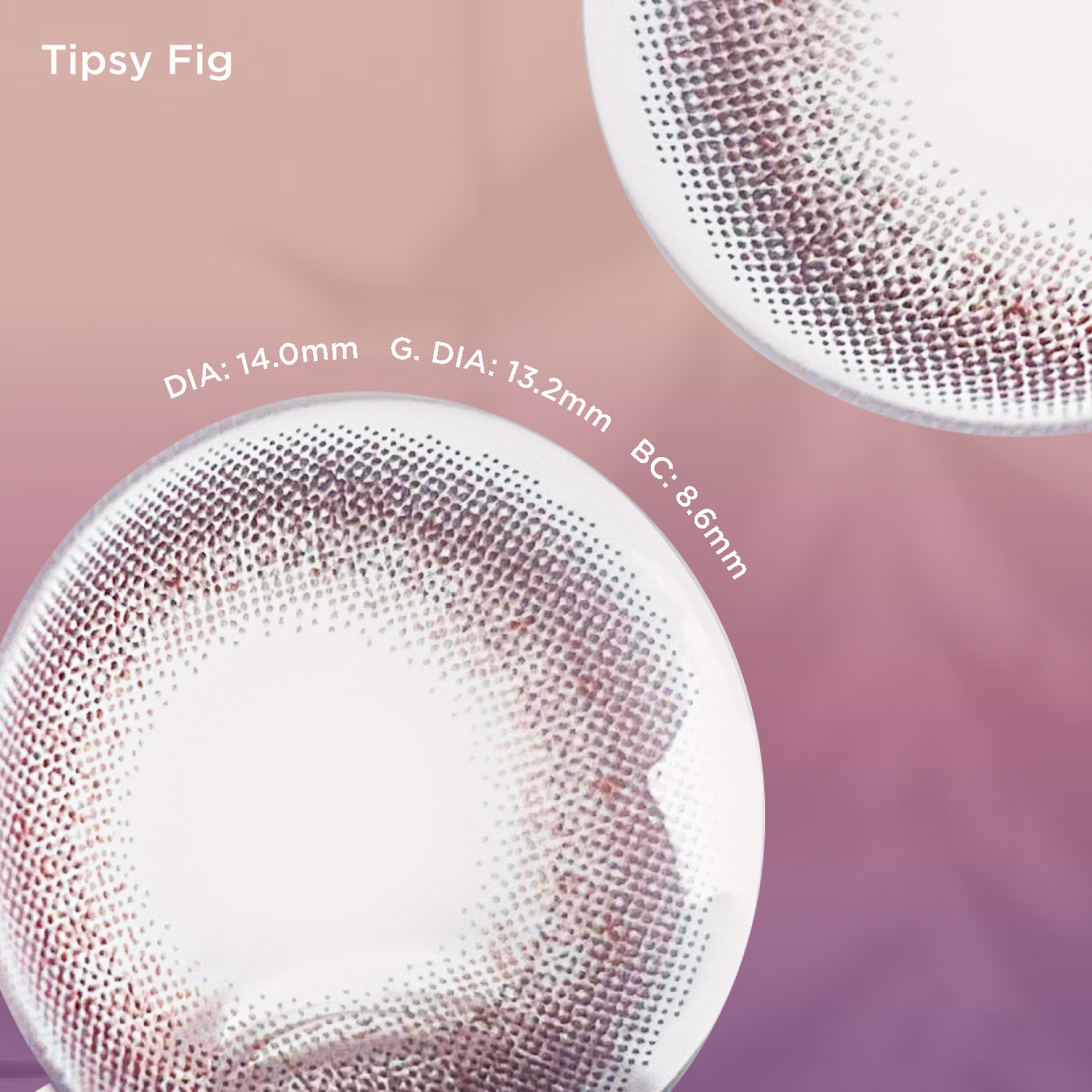 Tipsy Fig(1 pc)