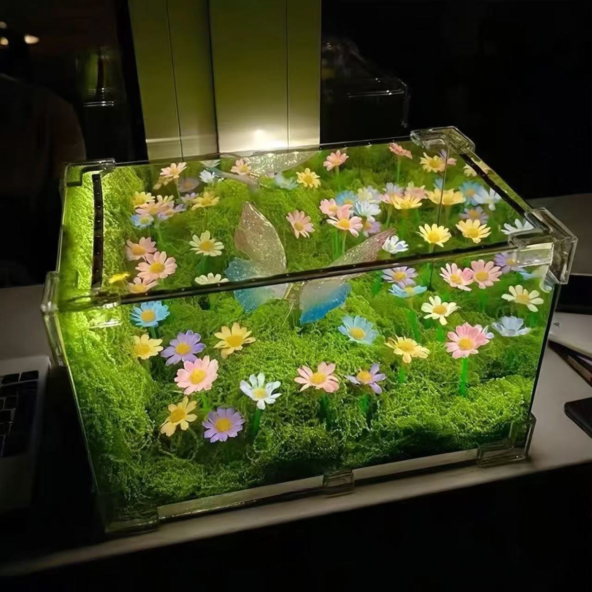 DIY Romantic Butterfly Night Light