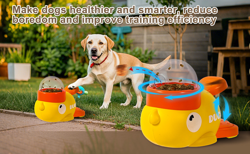 Make dogs healthier and smarter, reduce boredom and improve training efficiency
