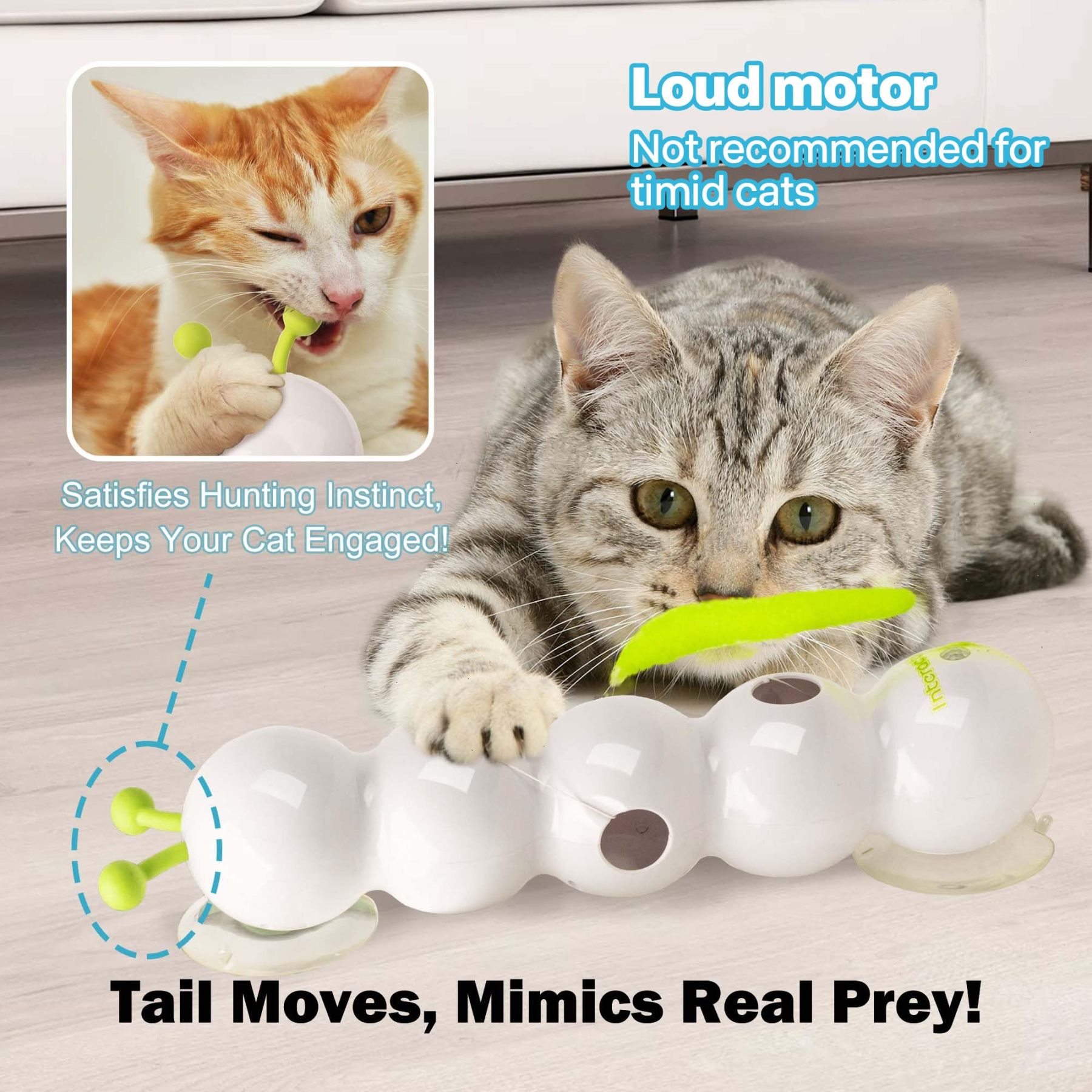Cat Interactive Toy Caterpillar