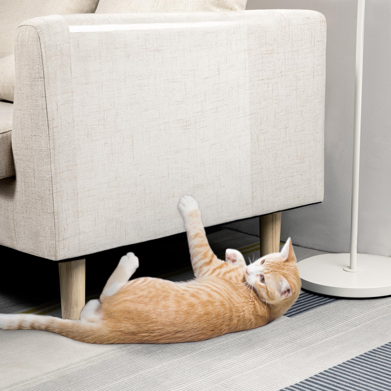 Electrostatic adsorption anti-fouling transparent protective film