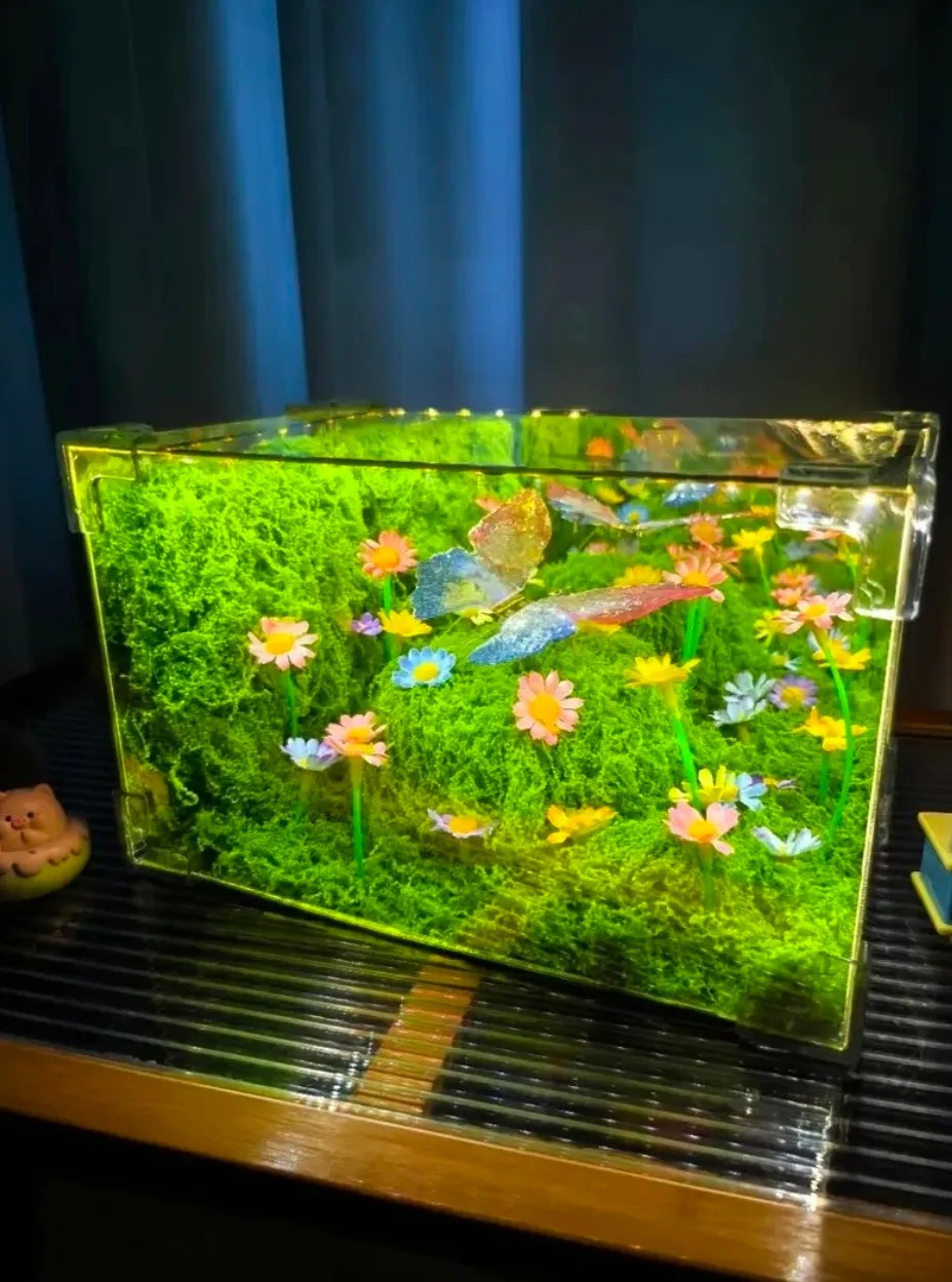 DIY Romantic Butterfly Night Light