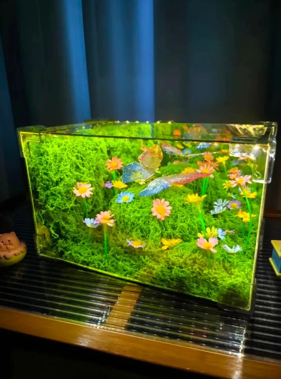 DIY Romantic Butterfly Night Light