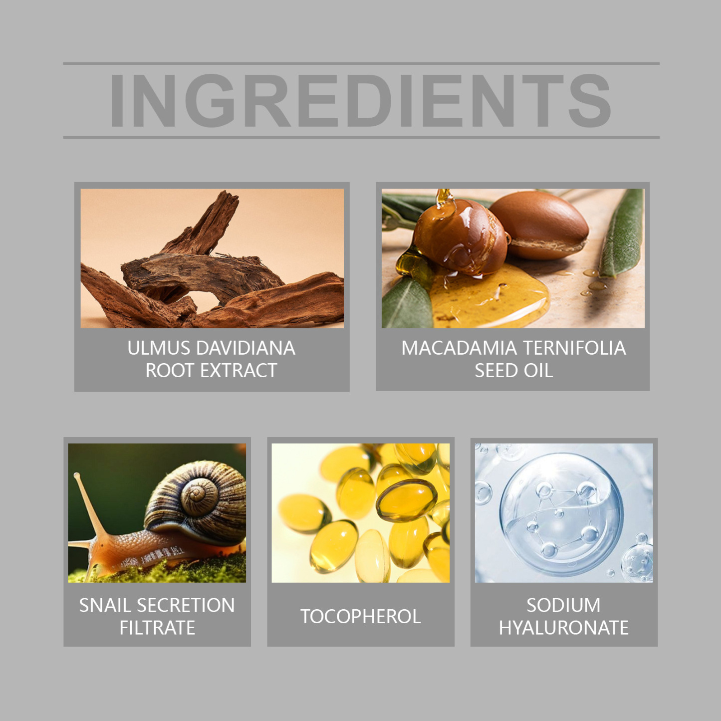 Hoygi Snail Face Cream