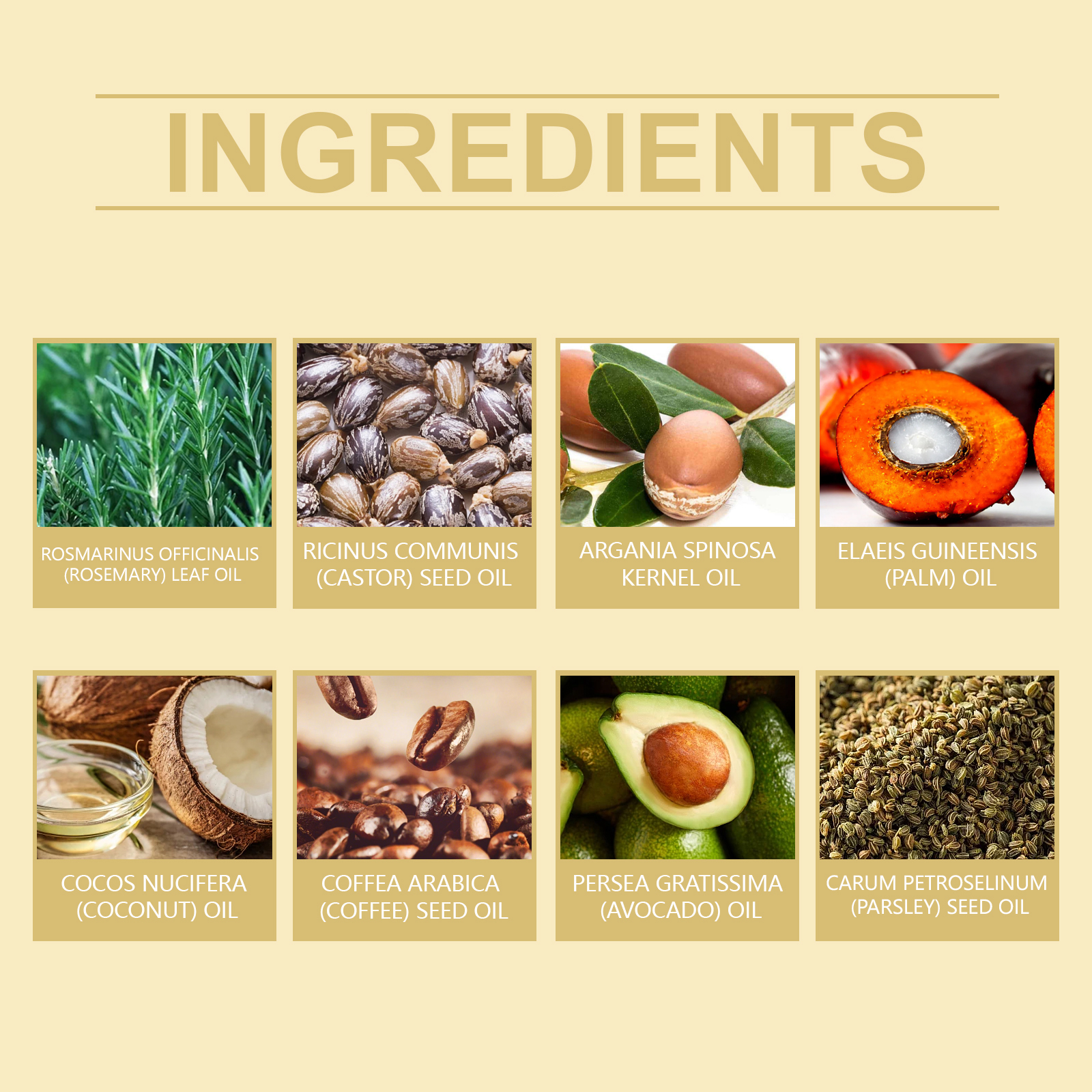 HOEGOA natural hair oil for growth