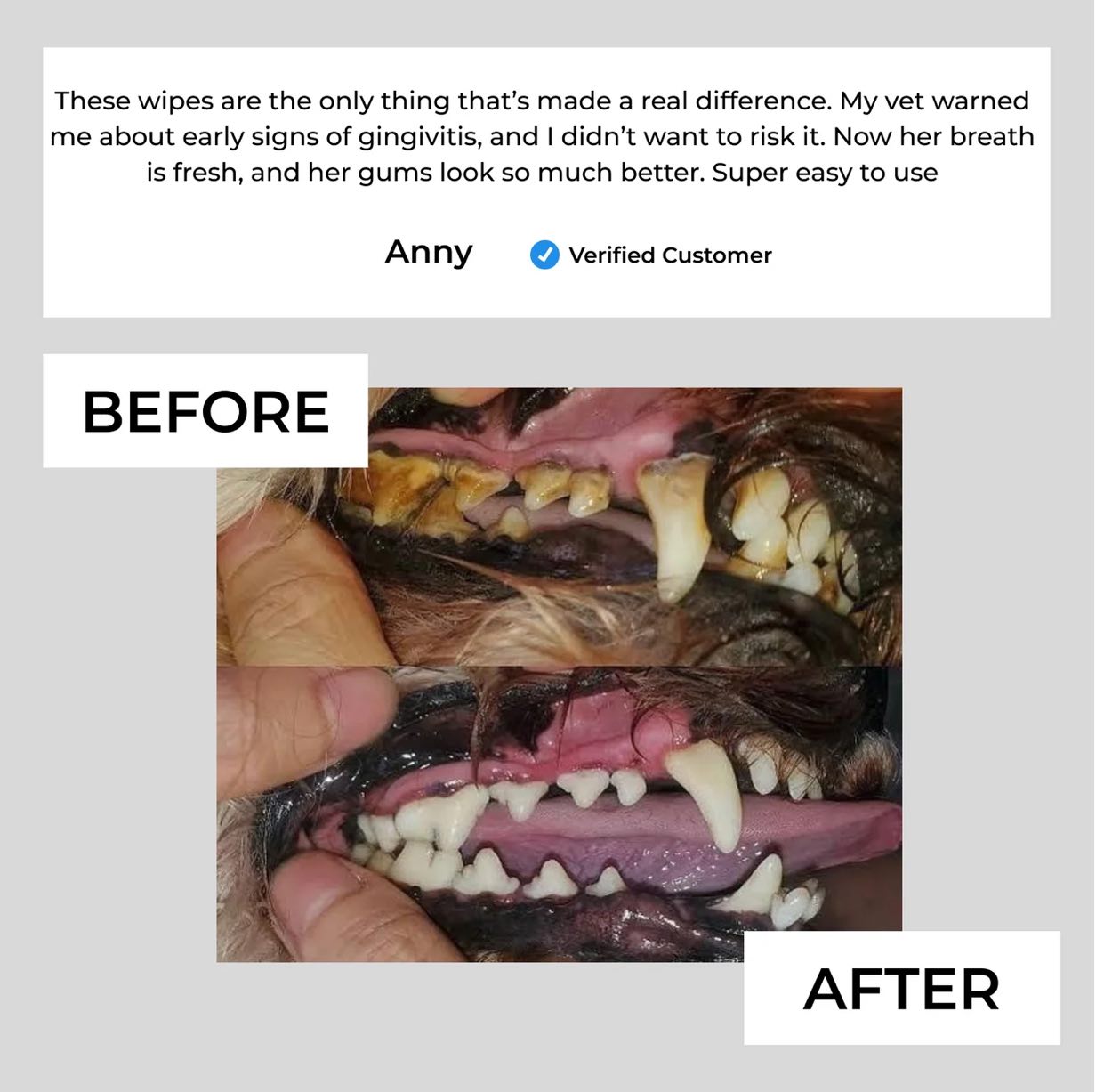 Pet Teeth Cleaning Finger Wipes