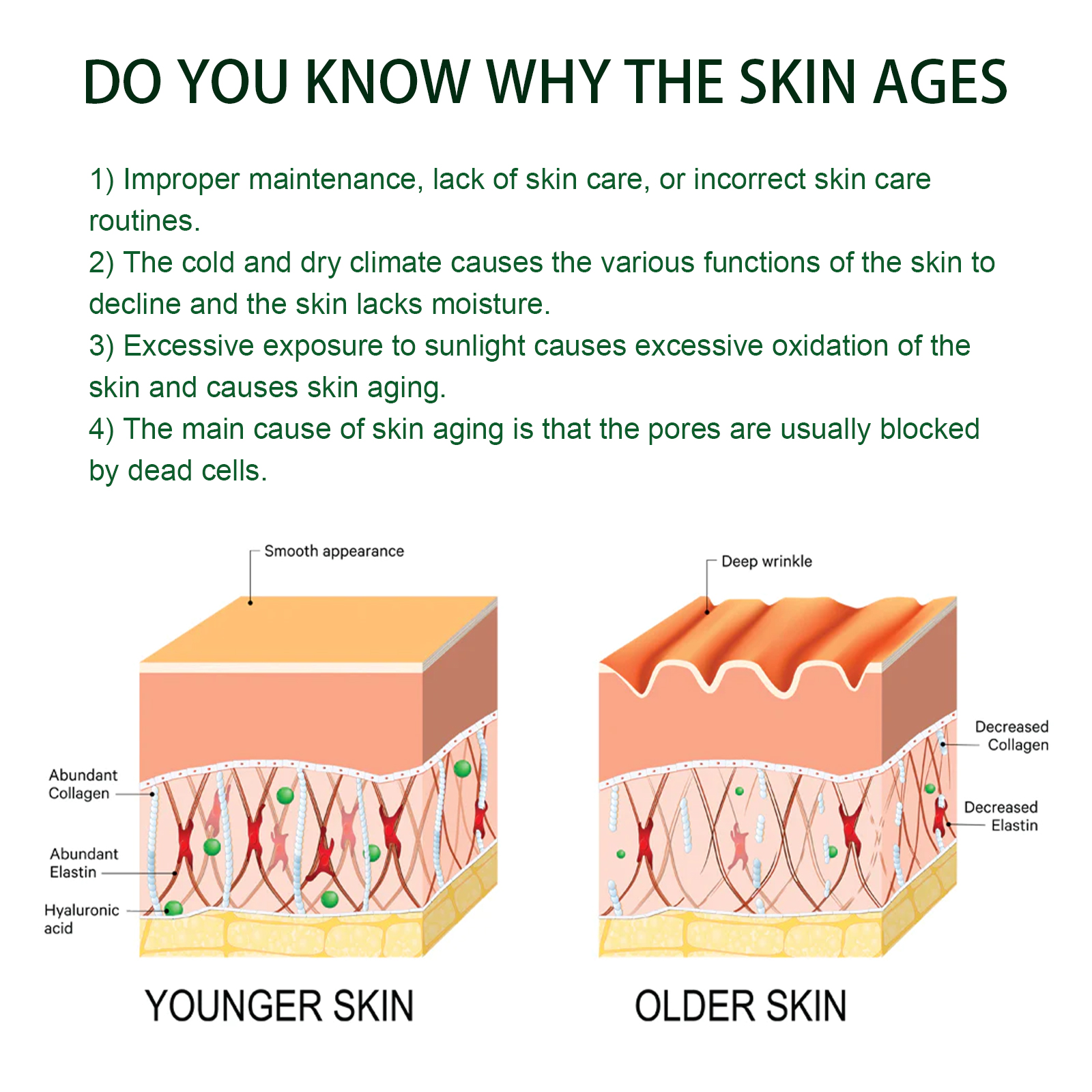 EELHOE Firming Essence Hydrates and Lightens Facial Fine Lines Improves Dull Skin and Brightens Skin