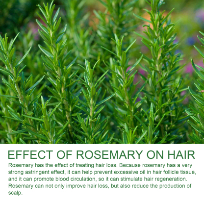 Jaysuing Rosemary Shampoo - Anti-hair loss, oil control, fluffy and smooth hair