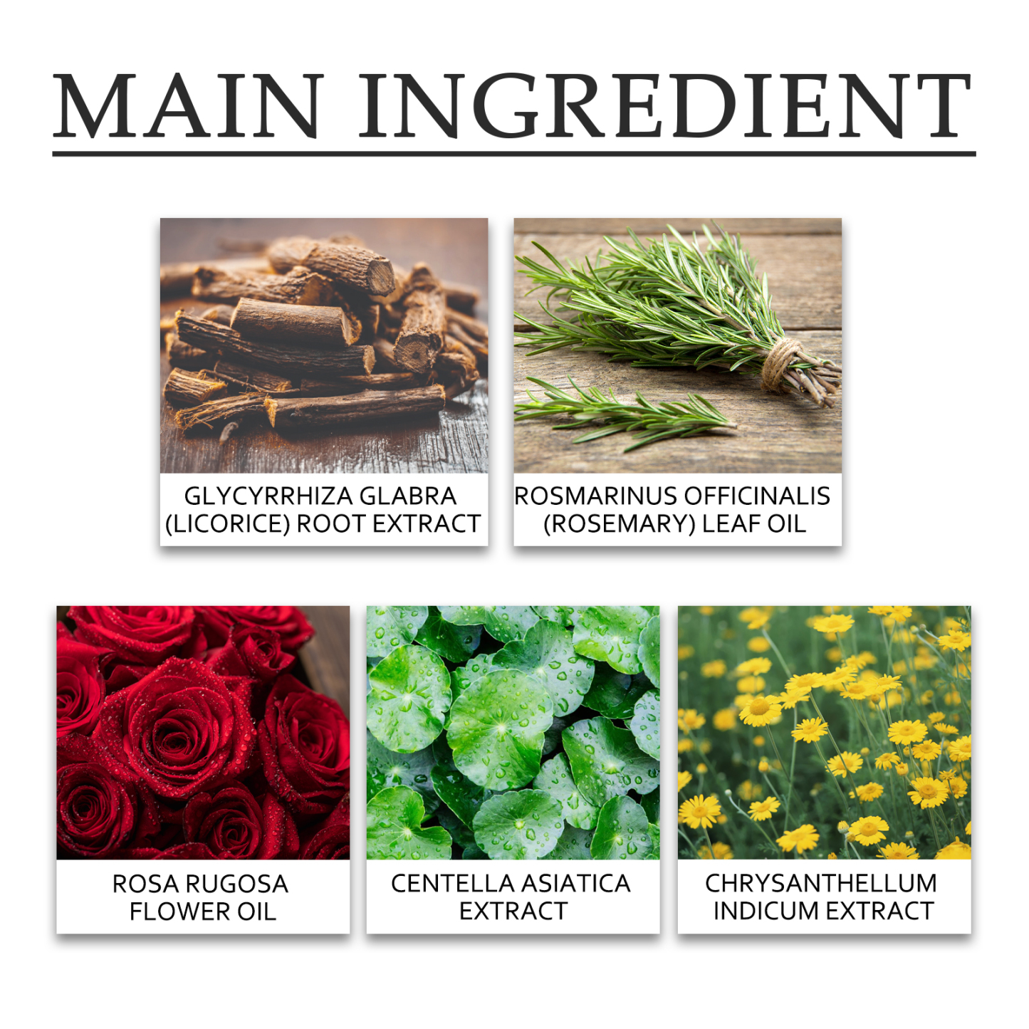 OceAura Tattoo Care Gel Moisturizes Tattoo Skin Repair Skin Tattoo Mark Brightening Care Cream