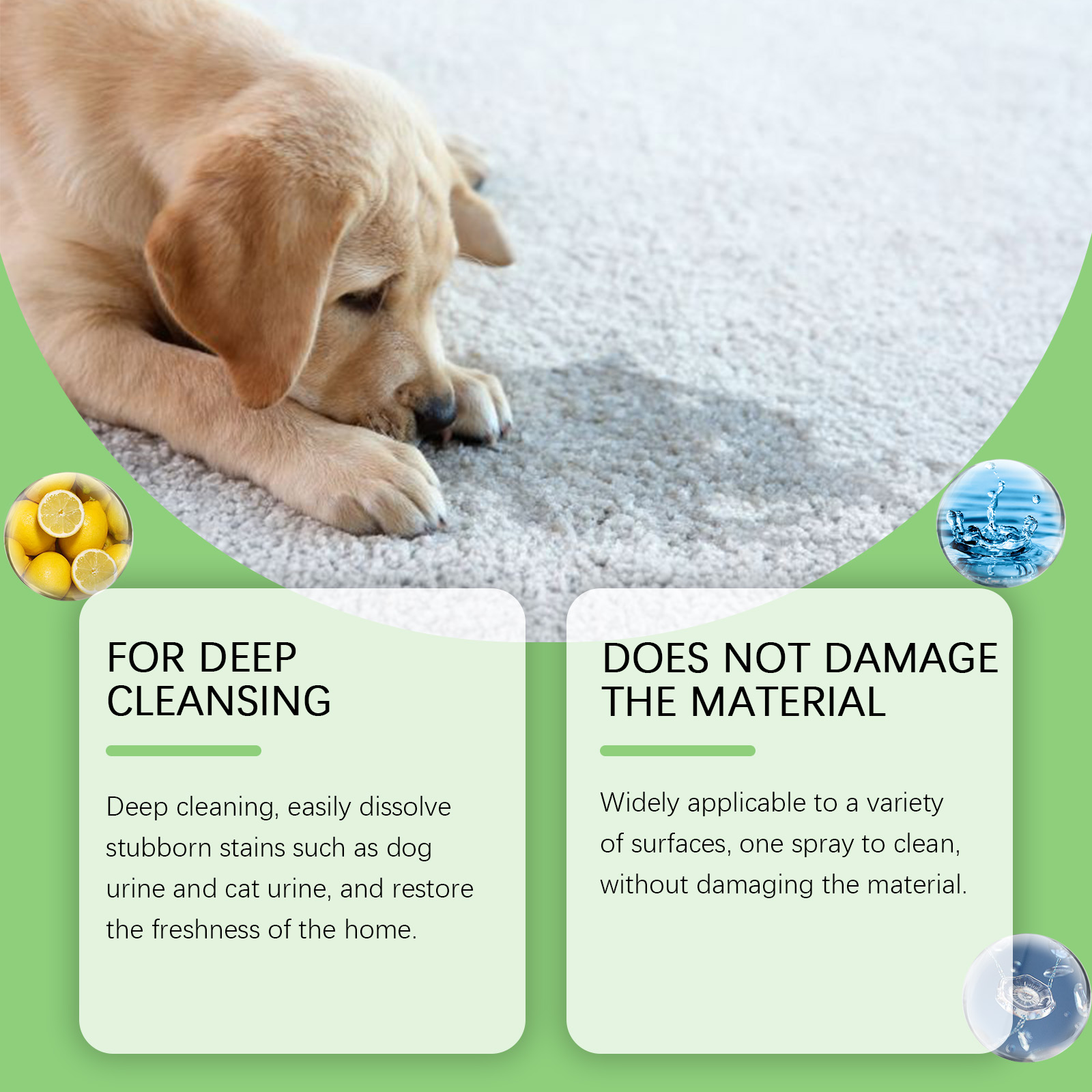 🐱Pet stain remover set