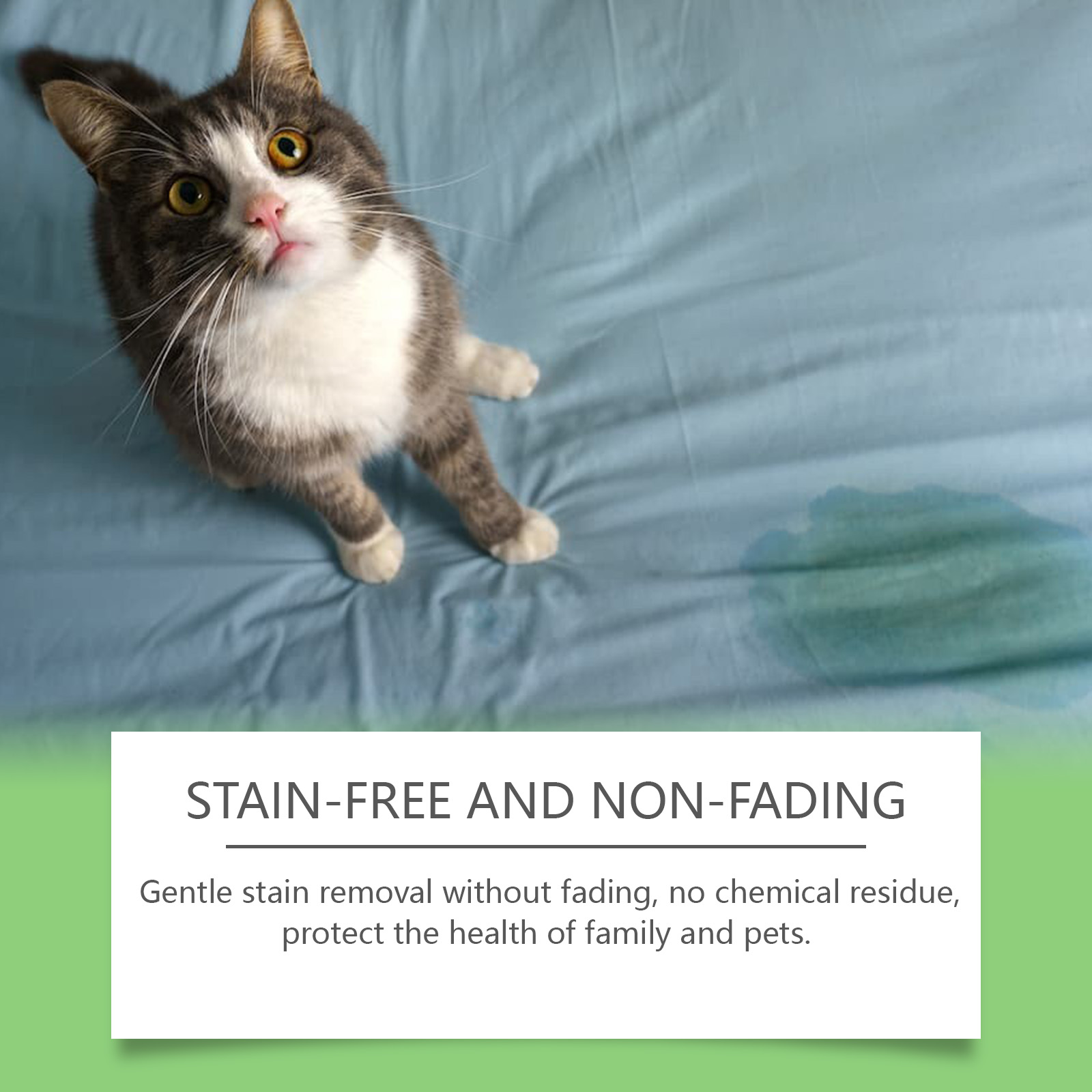 🐱Pet stain remover set