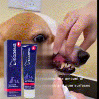Pet dental cleaning
