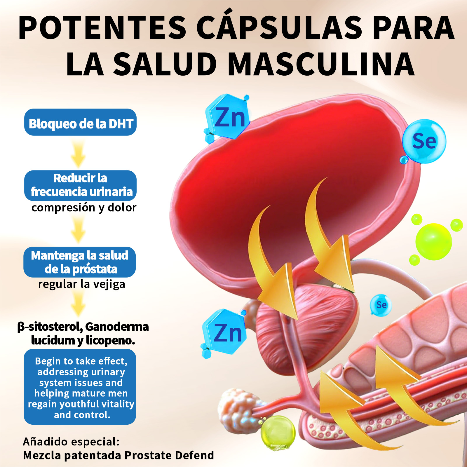 Gwynne Nutricional Prostate Health 2000mg Para Mejorar El Rendimiento Masculino 90 Cápsula + Supplements Nitric Oxide Booster,creatina Supplements Con L-arginine 90 Cápsulas