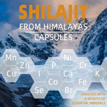 Pack 2 GWYNNE Shilajit Extract 120 Cápsulas Cada de Resina Charajiorgá Nica Pura Del Himalaya Sin sabor