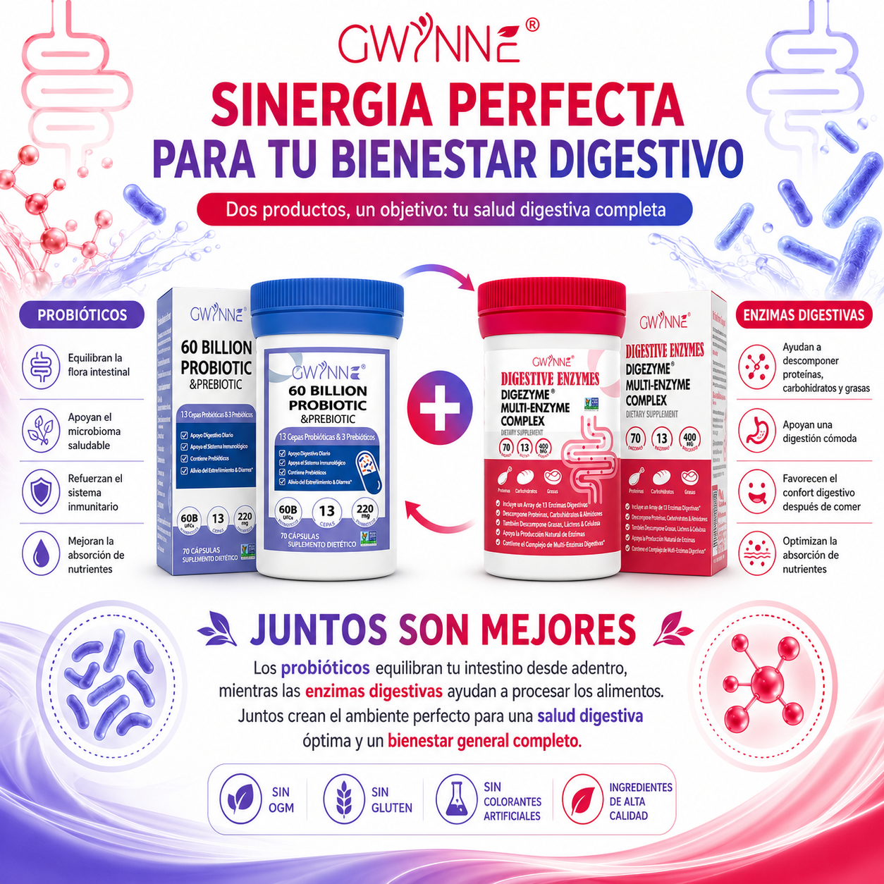Gwynne Paquete Avanzado Salud Intestinal:Vaginal probióticos 60 Billion De Ucf 70Cápsula Y Enzimas Digestivas 400mg 70Cápsula,para Salud Digestiva Y Salud Intestinal,apoya El Estreñimiento Ocasional