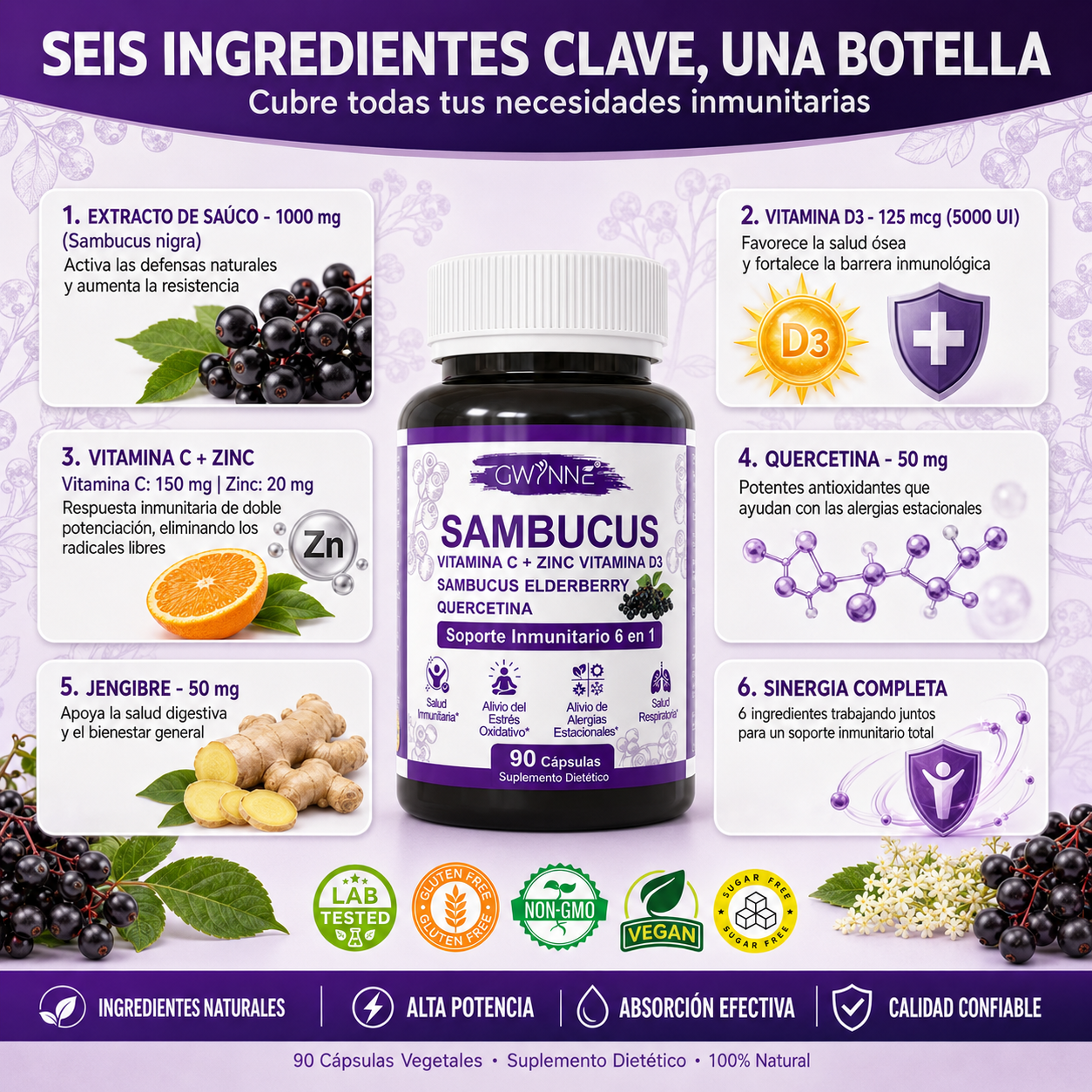 Gwynne Sambucus 6 En 1 Suplemento Con Extracto De Sauco 1000mg,vitamina C,d3,zinc Y Quercetina,soporte Inmunitario,alivio De Alergias Y Salud Respiratoria,90 Cápsulas