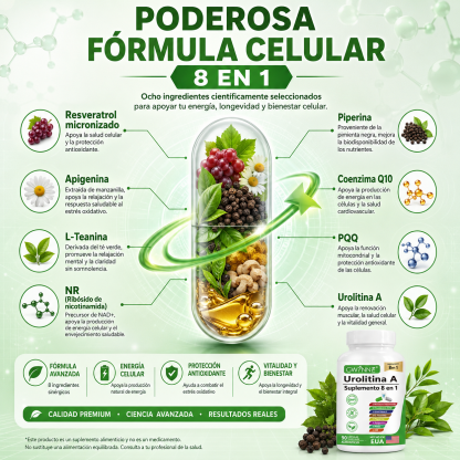 Gwynne Urolithin A 1000mg Complex Supplement 90 Cápsula,con Resveratrol,nr,coq10,pqq Y L-theanine Apoyo A La Energía Mitocondrial Y Celular