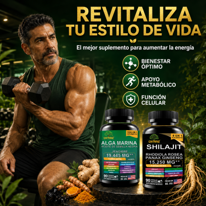 Gwynne All In 1 Shilajit Y Sea Moss Bundle 90 Cápsulas-contiene 29170 Mg De Musgo Marino, Aceite De Semilla Negra, Etc Y Contiene 22875 Mg De Shilajit,rhodiola Rosea, Etc