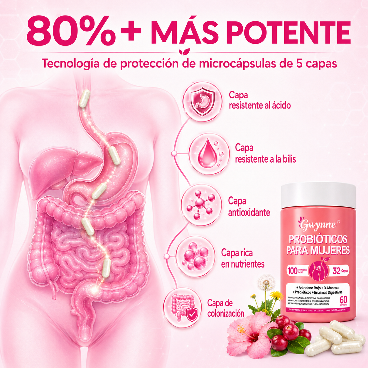 Gwynne Vaginal Probióticos Para Mujeres 100m Ufc + 32cepas,conprebioticos,enzimas Digestivas,arándano Rojo Y D-manosa, Apoyo Vaginal Y Digestivo,60 Cápsulas