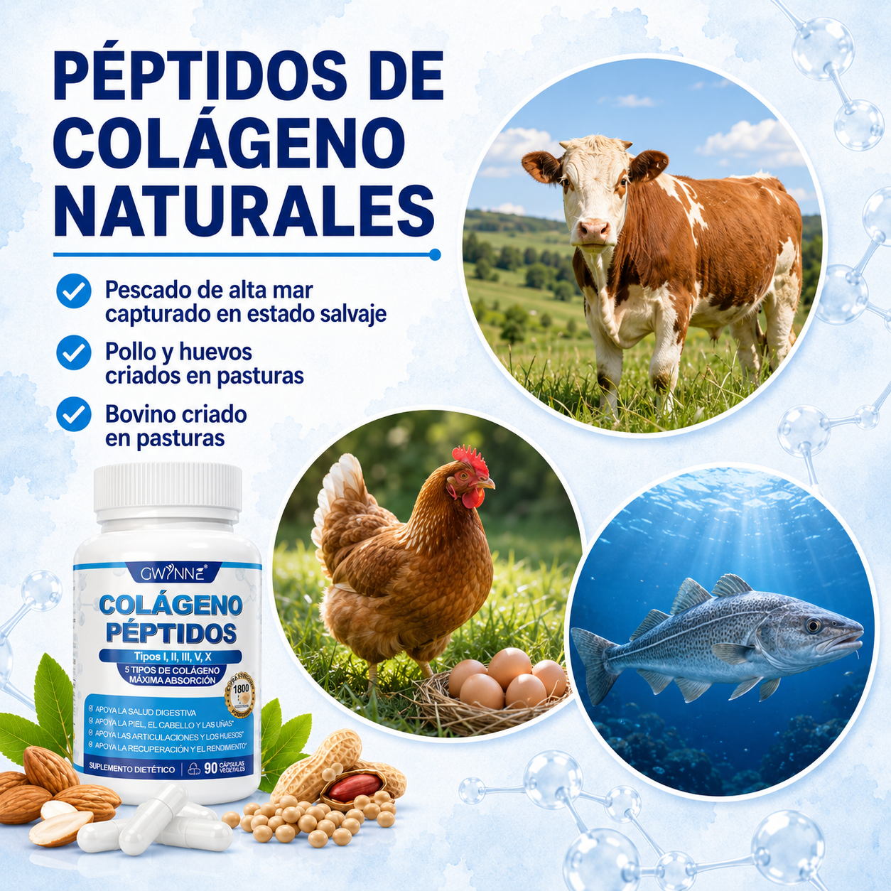 Gwynne Péptidos De Colágeno Múltiples 1800 Mg Complejo 90 Cápsulas-tipo I,ii,iii,v,x Complejo De Colágeno Premium Para Una Mejor Piel Y Cabello,articulación Fuerte,proteína Hidrolizada