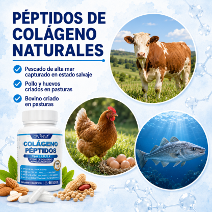 Gwynne Péptidos De Colágeno Múltiples 1800 Mg Complejo 90 Cápsulas-tipo I,ii,iii,v,x Complejo De Colágeno Premium Para Una Mejor Piel Y Cabello,articulación Fuerte,proteína Hidrolizada