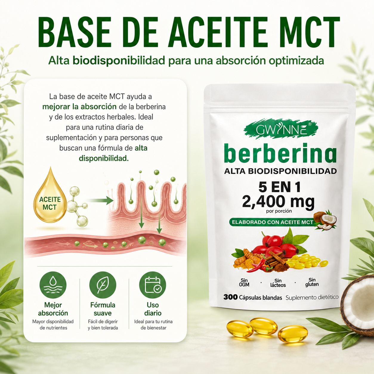 Berberina De 300 Cápsulas Blandas De 500mg *4 Pure Berberine GWYNNE