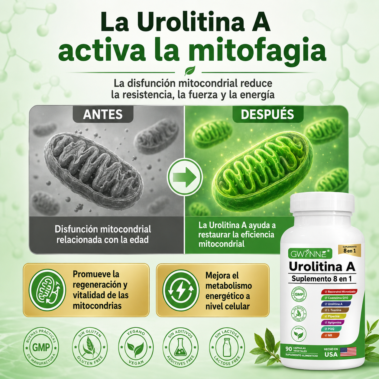 Gwynne Urolithin A 1000mg Complex Supplement 90 Cápsula,con Resveratrol,nr,coq10,pqq Y L-theanine Apoyo A La Energía Mitocondrial Y Celular