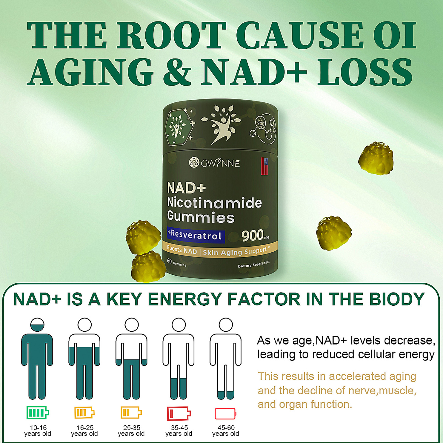 Gwynne Nad+ Suplemento Liposomal De Nicotinamida Ribosida Con Resveratrol Y Quercetina Y NAD 900mg 60 Gominolas