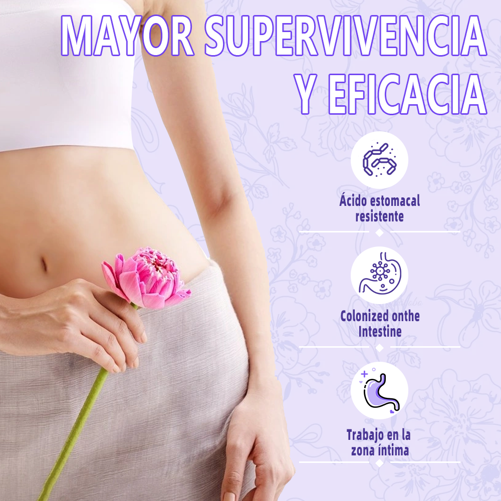 Gwynne Suplemento De Menopausia Para Mujeres,cápsulas De Equilibrio De Hormona Femenina Para Sudores Nocturnos Salpicaduras Calientes Y Oscilaciones De Estado De Ánimo Con Dong Quai,magnesio,90 Cáps