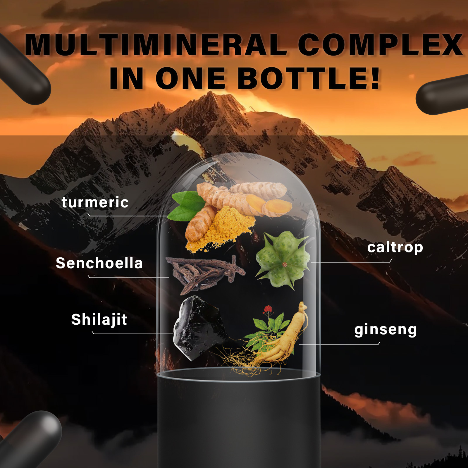 Pack 2 GWYNNE Shilajit Extract 120 Cápsulas Cada de Resina Charajiorgá Nica Pura Del Himalaya Sin sabor