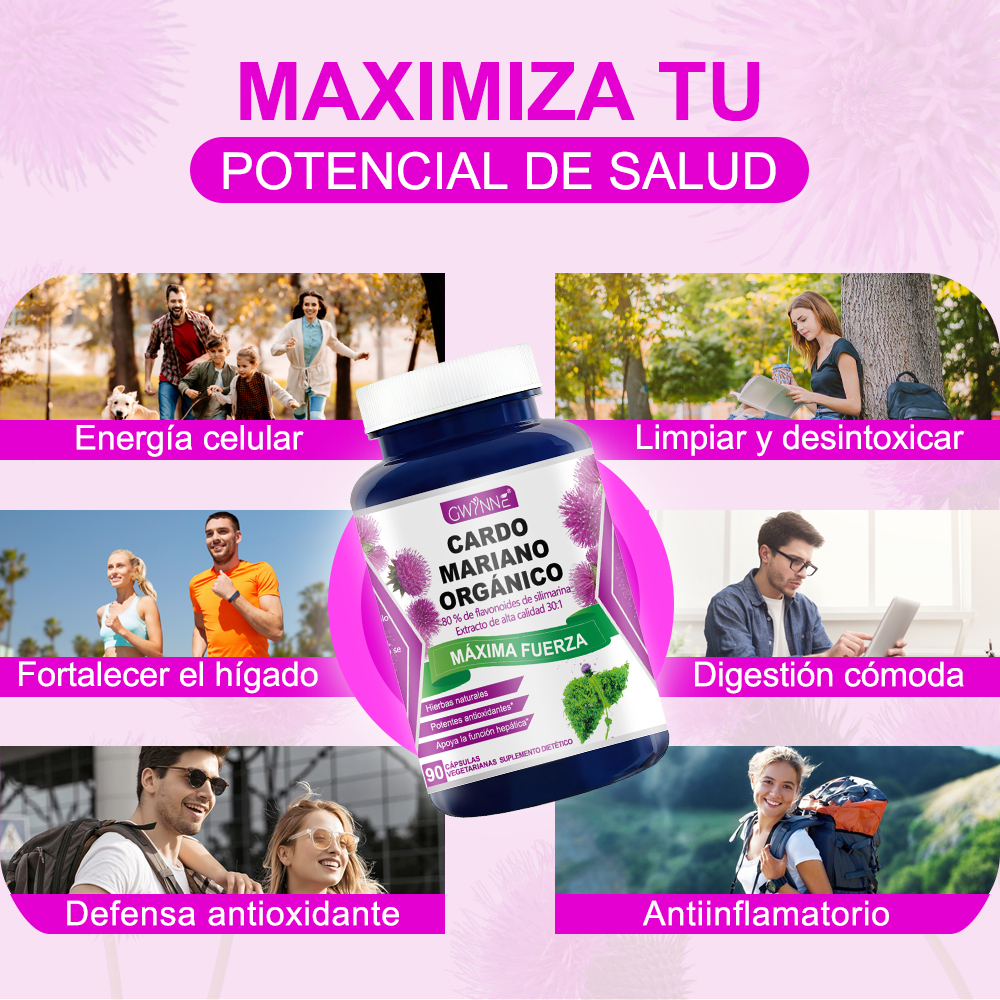 Gwynne Cardo Mariano Orgánico Cápsulas,silymarin Milk Thistle 30:1 Extracto,apoyo A La Desintoxicación Y Reparación Del Hígado,apoyo A Los Antioxidantes,muscular Y Óseo,90 Cápsulas