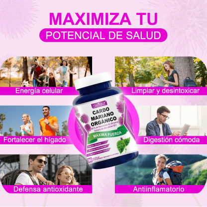 Gwynne Cardo Mariano Orgánico Cápsulas,silymarin Milk Thistle 30:1 Extracto,apoyo A La Desintoxicación Y Reparación Del Hígado,apoyo A Los Antioxidantes,muscular Y Óseo,90 Cápsulas