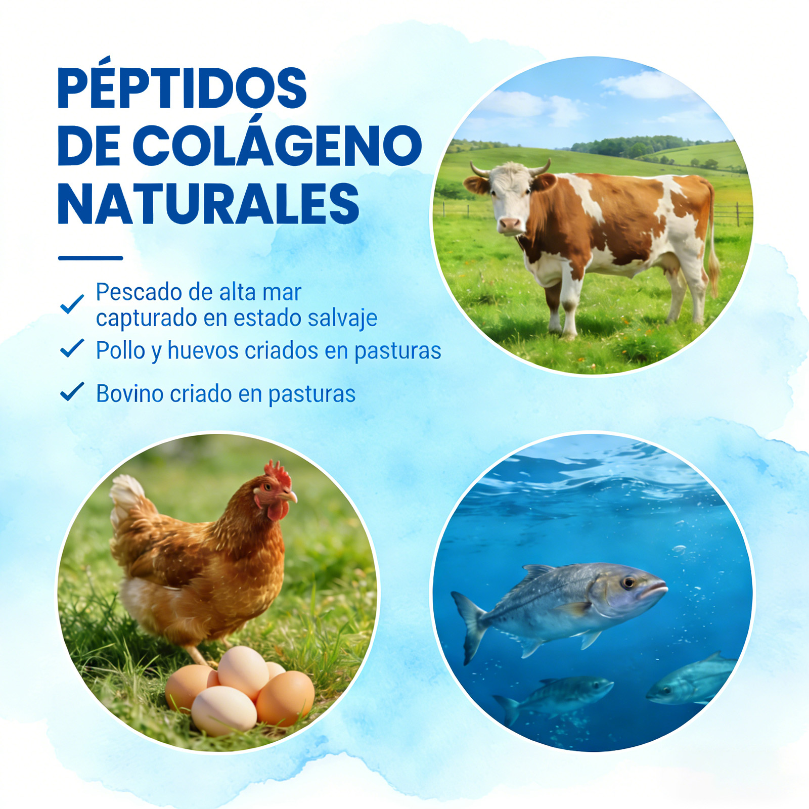 Gwynne Péptidos De Colágeno Múltiples 1800 Mg Complejo 90 Cápsulas-tipo I,ii,iii,v,x Complejo De Colágeno Premium Para Una Mejor Piel Y Cabello,articulación Fuerte,proteína Hidrolizada