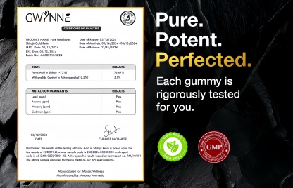 Gwynne Shilajit Gummies Puro Del Himalaya 85 Micronutrientes 3000mg Apto Para Hombres Y Mujeres 100% Natural Orgánico 60 Gommies